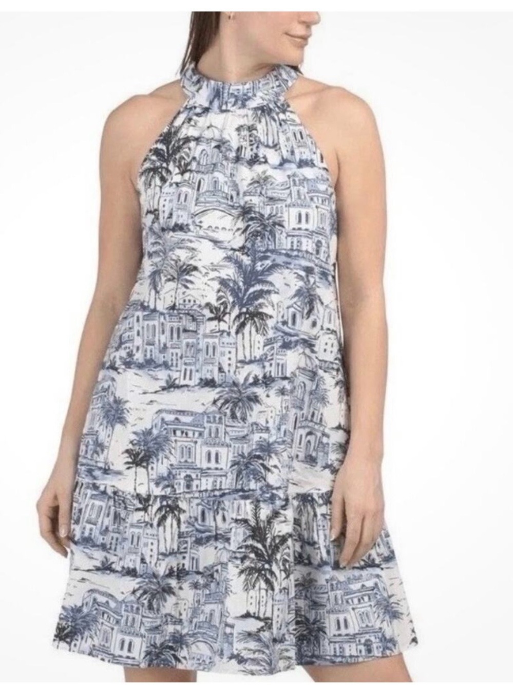 Calypso St. Barth Blue and White Halter-Style Tropical Print Dress
